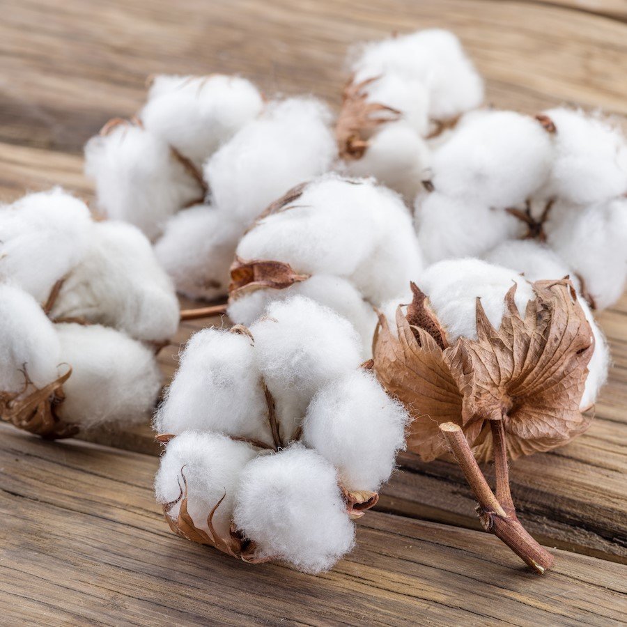 fibre di cotone per acetato a base naturale bio acetato ottica rizzato